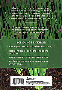 Onion, garlic, greens. Planting. Care. Protection. Harvesting. Storage