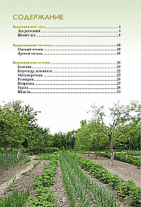 Onion, garlic, greens. Planting. Care. Protection. Harvesting. Storage