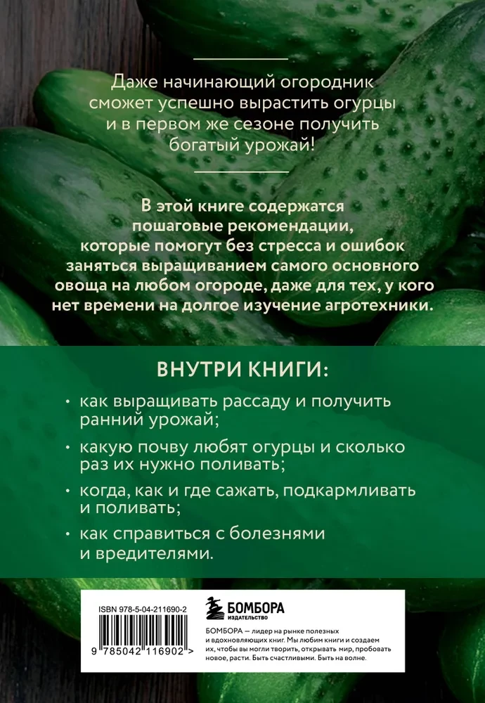 Cucumbers. A Rich Harvest Without Mistakes