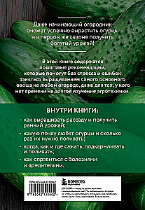 Cucumbers. A Rich Harvest Without Mistakes