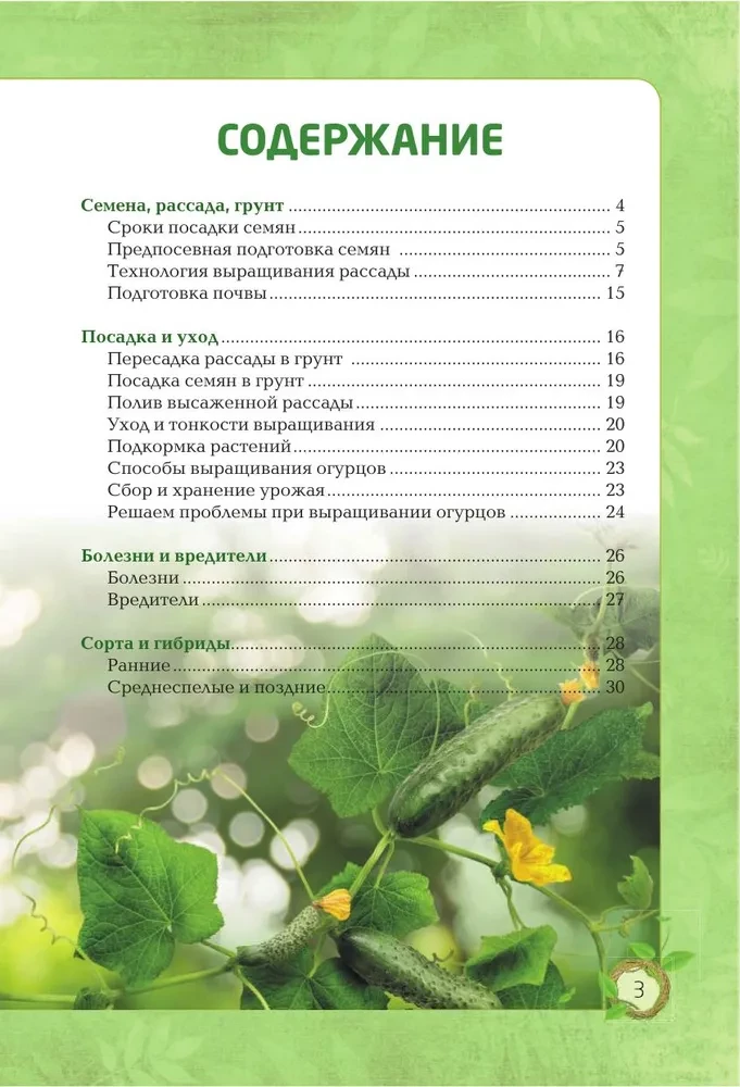 Cucumbers. A Rich Harvest Without Mistakes