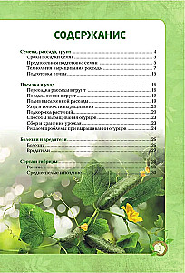 Cucumbers. A Rich Harvest Without Mistakes