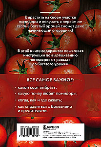 Tomatoes. A Rich Harvest Without Mistakes