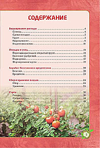 Tomatoes. A Rich Harvest Without Mistakes
