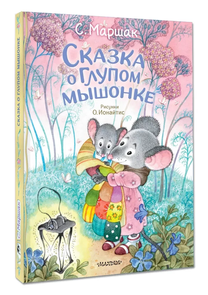 The Tale of the Silly Mouse