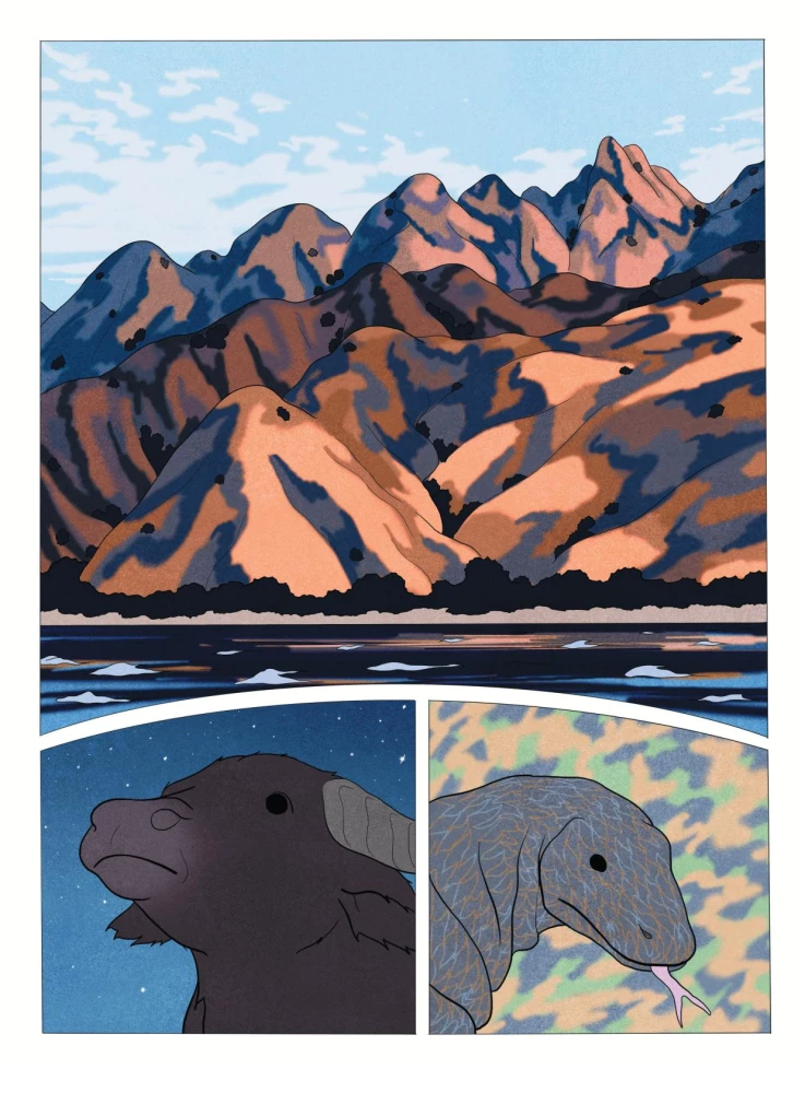 Amazing Illustrators (set of 3 comics)