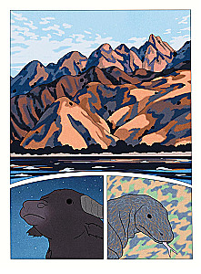 Amazing Illustrators (set of 3 comics)