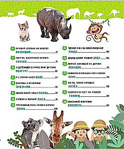Animals