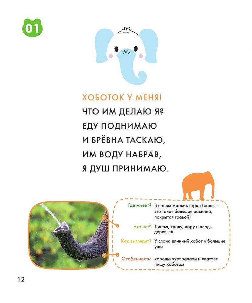 Animals