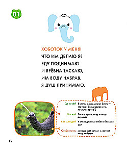 Animals