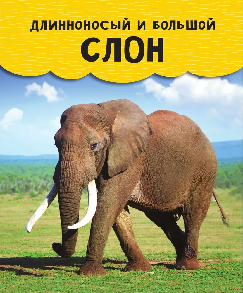 Animals