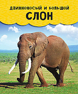 Animals