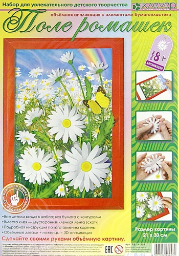 Picture Set - Field of Daisies