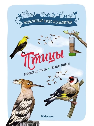 Birds