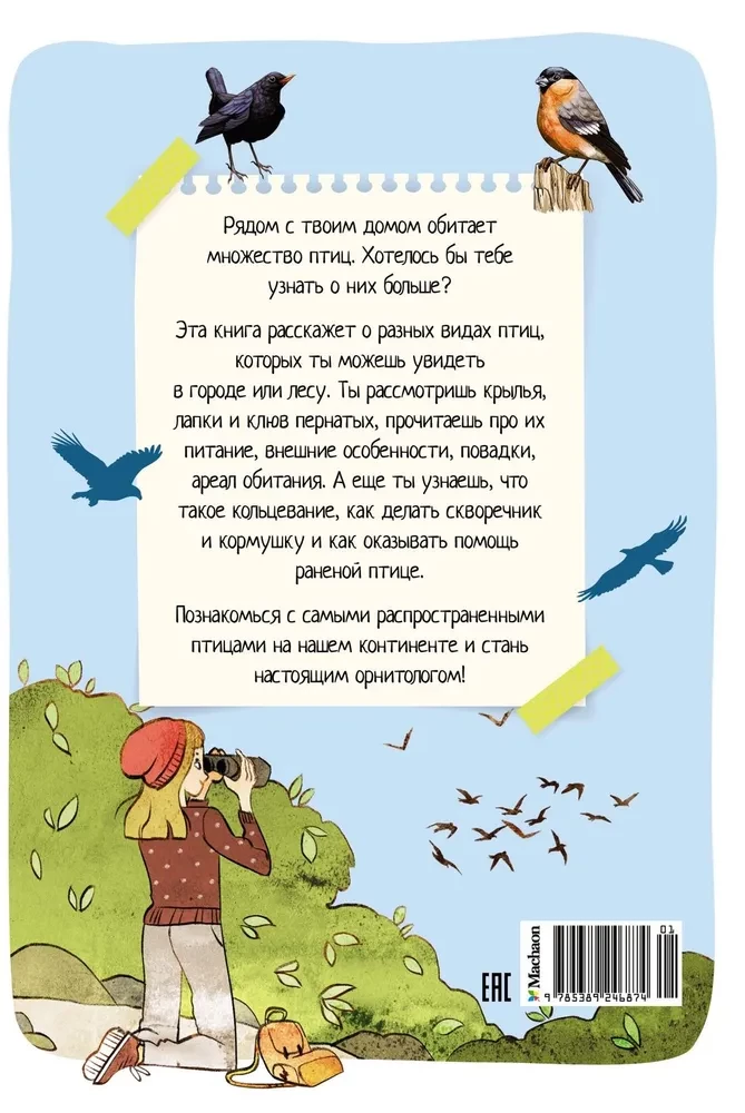 Birds