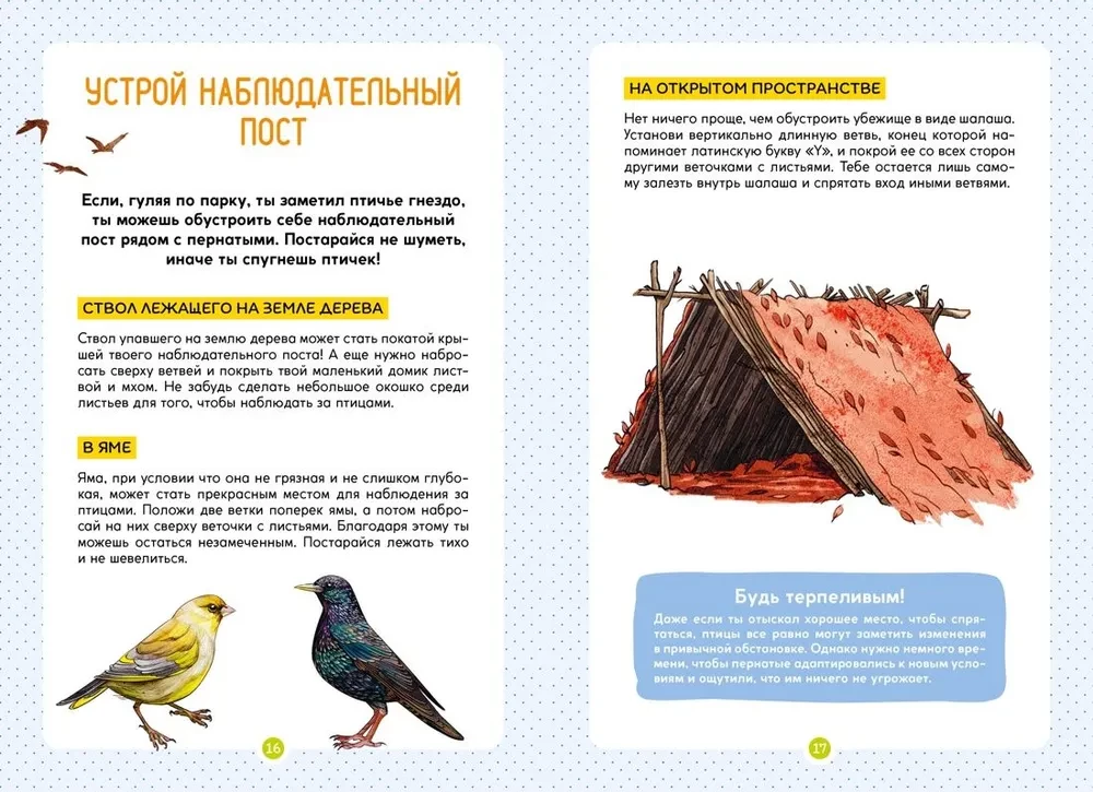 Birds