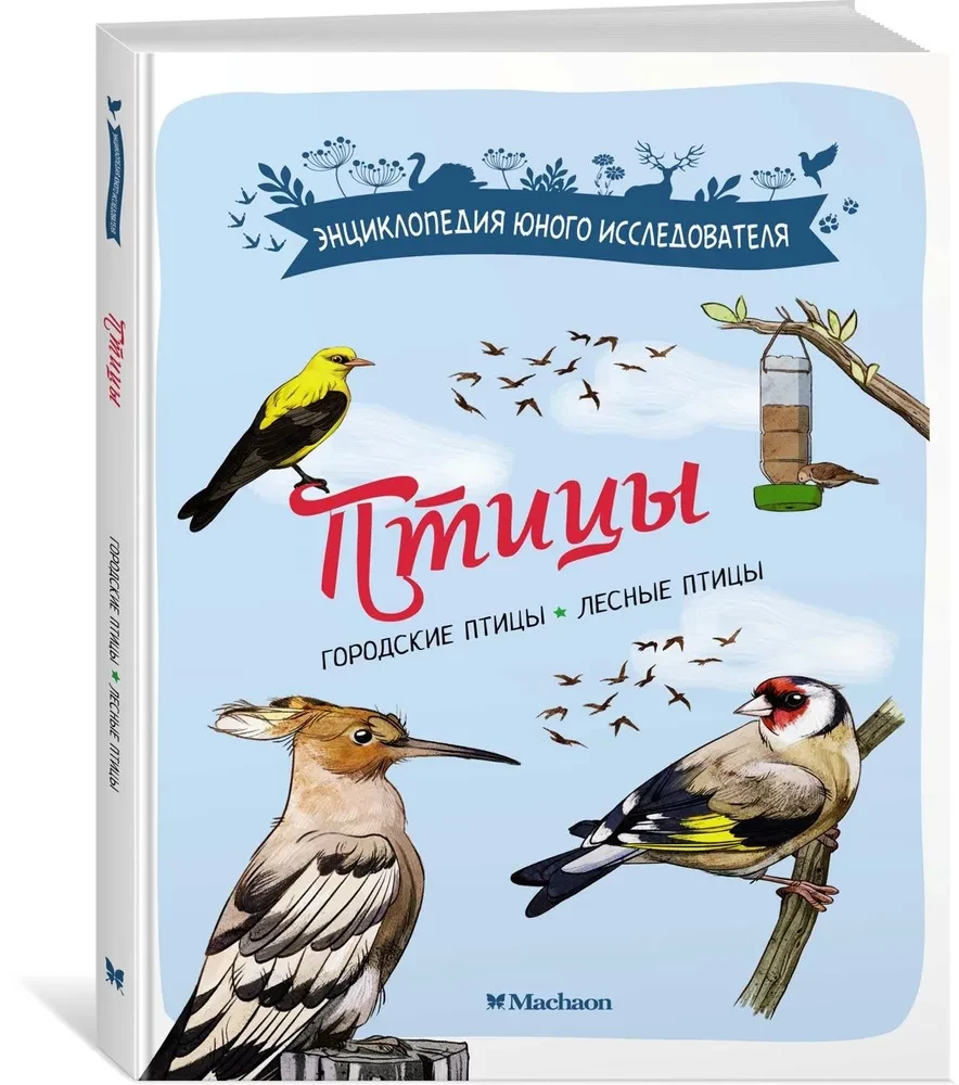 Birds