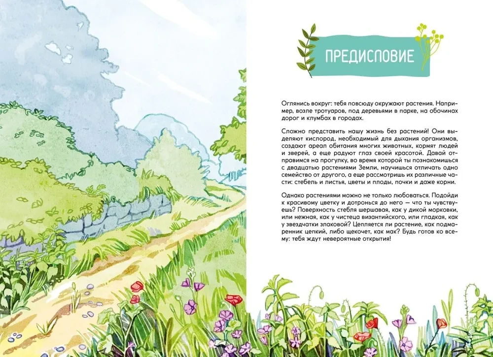Plants Around Us