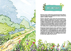 Plants Around Us