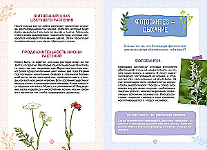 Plants Around Us