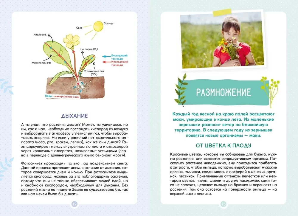 Plants Around Us