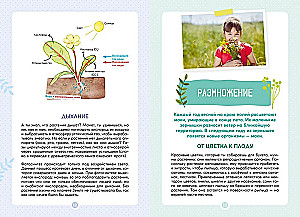 Plants Around Us