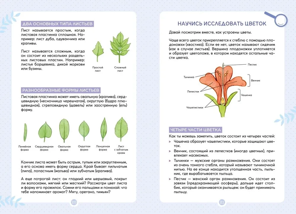 Plants Around Us