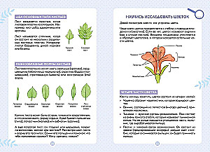 Plants Around Us