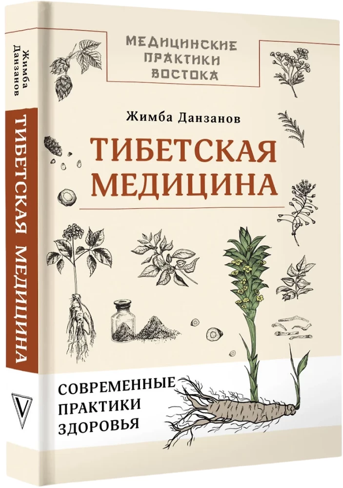 Тибетская медицина: современные практики здоровья