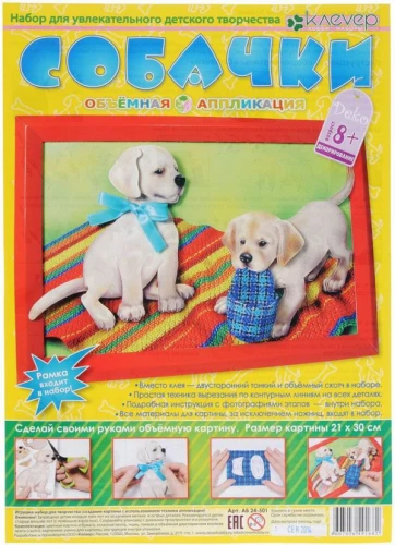 Set for Picture - Puppies
