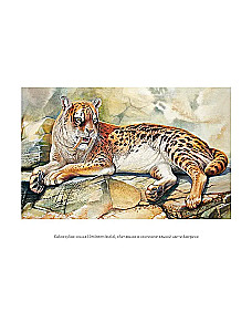The End of Megafauna. The Fascinating Life and Mysterious Death of Mammoths, Saber-Toothed Tigers, and Giant Sloths