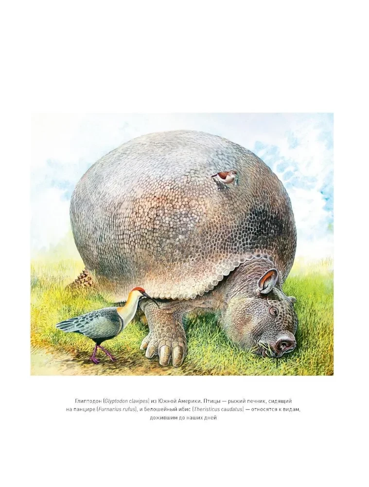 The End of Megafauna. The Fascinating Life and Mysterious Death of Mammoths, Saber-Toothed Tigers, and Giant Sloths