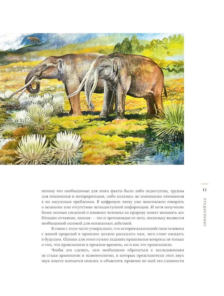 The End of Megafauna. The Fascinating Life and Mysterious Death of Mammoths, Saber-Toothed Tigers, and Giant Sloths