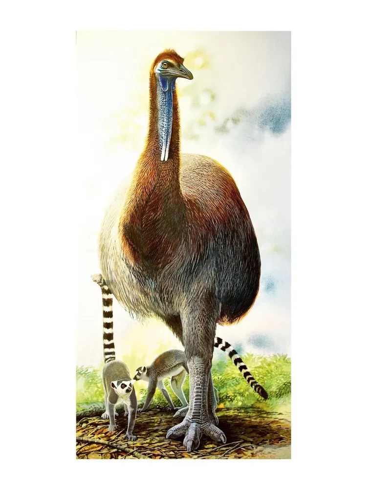 The End of Megafauna. The Fascinating Life and Mysterious Death of Mammoths, Saber-Toothed Tigers, and Giant Sloths