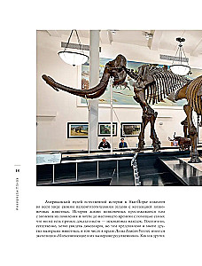 The End of Megafauna. The Fascinating Life and Mysterious Death of Mammoths, Saber-Toothed Tigers, and Giant Sloths