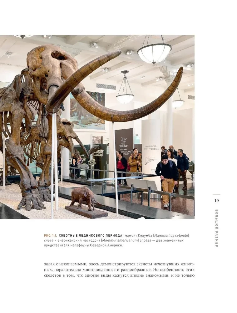 The End of Megafauna. The Fascinating Life and Mysterious Death of Mammoths, Saber-Toothed Tigers, and Giant Sloths