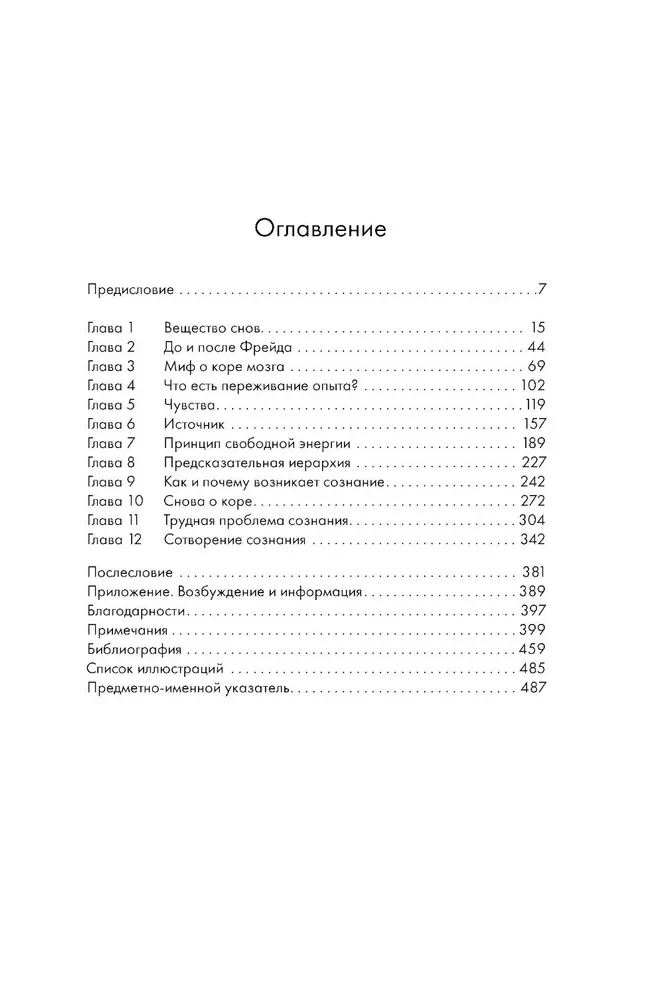 The Hidden Source of Consciousness. In Search of the Nature of Subjective Experience