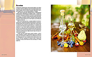 Homemade Alcohol. Methods of Preparation, Equipment, Recipes