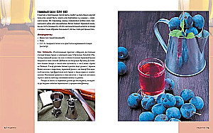Homemade Alcohol. Methods of Preparation, Equipment, Recipes