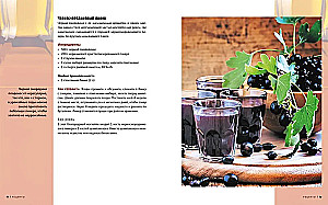 Homemade Alcohol. Methods of Preparation, Equipment, Recipes