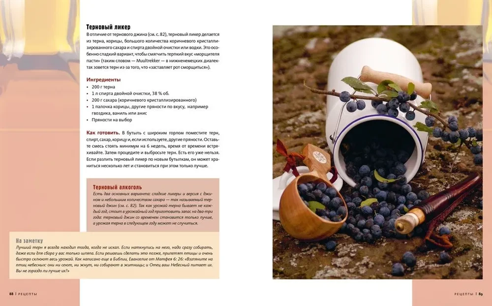 Homemade Alcohol. Methods of Preparation, Equipment, Recipes