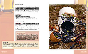 Homemade Alcohol. Methods of Preparation, Equipment, Recipes