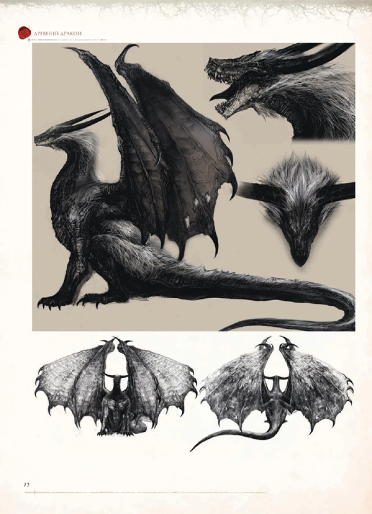 Dark Souls. Illustrations