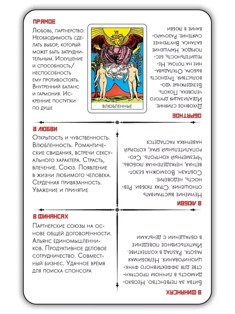 Learn Tarot XL Divination Cards Training Deck for Beginners (78 cards)