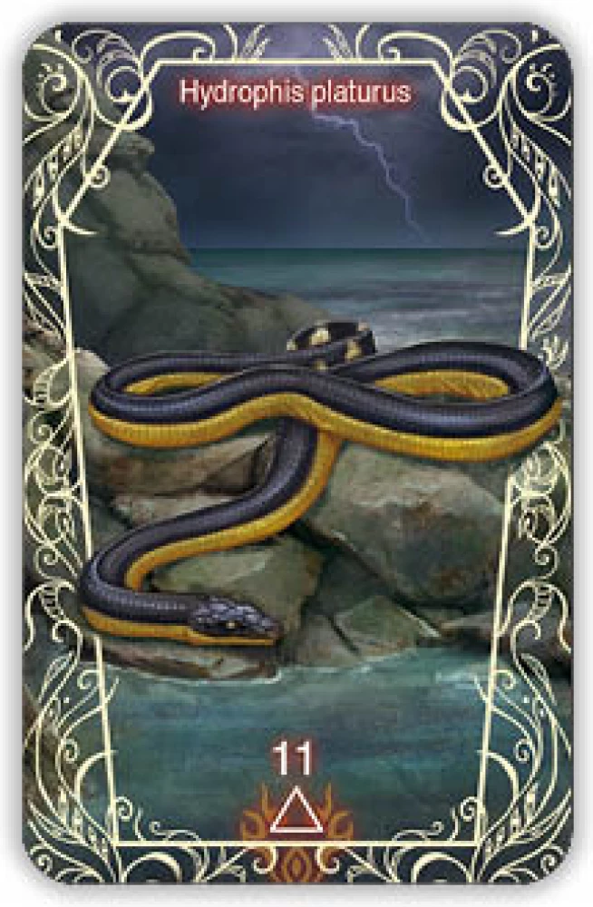 Oracle 44 Death Messenger (divination cards with instructions)