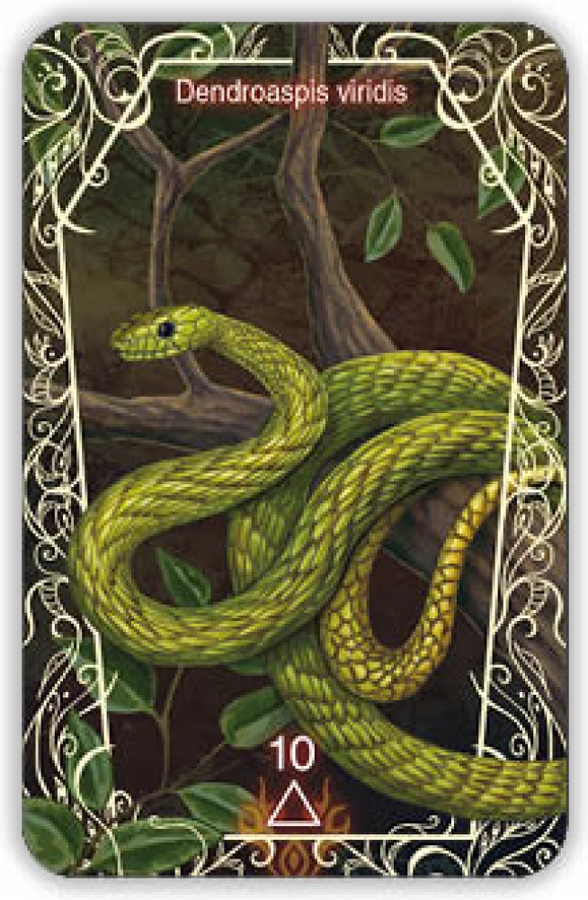 Oracle 44 Death Messenger (divination cards with instructions)