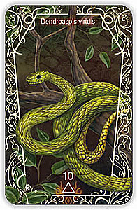 Oracle 44 Death Messenger (divination cards with instructions)