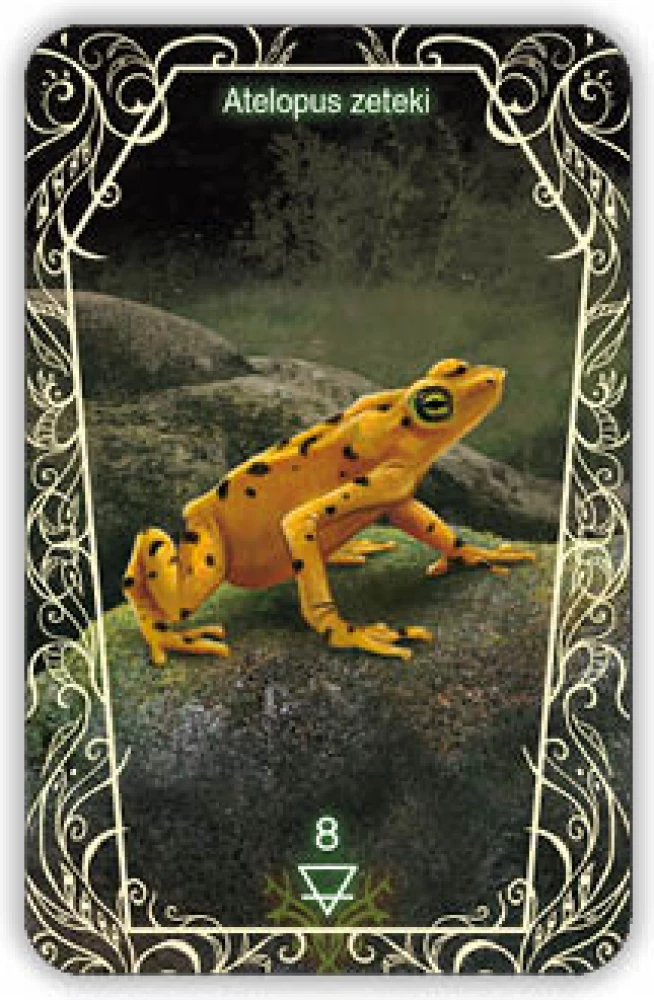 Oracle 44 Death Messenger (divination cards with instructions)