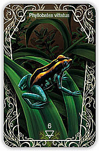 Oracle 44 Death Messenger (divination cards with instructions)