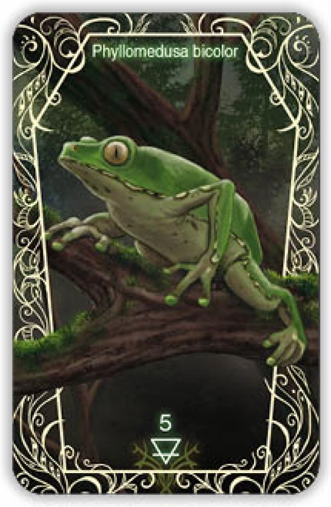 Oracle 44 Death Messenger (divination cards with instructions)